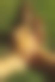 retro nudist teens|Retro Nudist Teen - Video search | Free Sex Videos on Voyeurhit