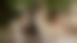 Nudist|Nudist Notions | Catch a Falling Star