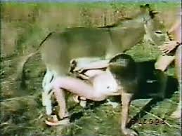 Farm porn free porn videos of sex with animals gif x Farm animal sex