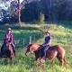 Is rural Australia holding up same sex marriage? 