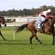 Winning day for BJC trainers at Elmore Cup 