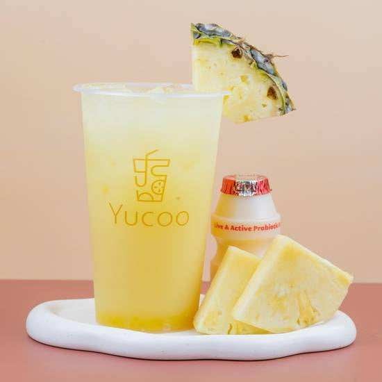 Yucoo -Boston by null