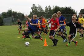 rajce.idnes curani|Saňák kemp fotbalových nadějí