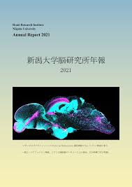 ayumi kinoshita fake nude|Kasumi Arimura - Wikipedia