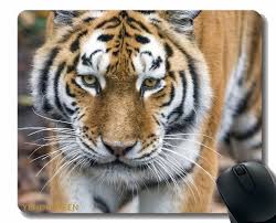 siberian mouse teen|QUICQOD Funny Hot Pink Preppy Tiger Mouse Pad 8.7 x 8.7 Inches,Non-Slip  Rubber Base Mousepads for Home Office College Dorm Desk Decor,Preppy Gifts  for Teen Girls Coworkers : Buy Online at Best