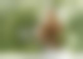 azov boys nude|sauna boys azov Gay Porn - Popular Videos - Gay Bingo