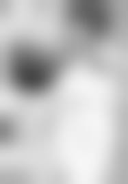 premium hentai family|Yor Forger (大猫板蓝根) [Spy X Family] - Hentai Arena