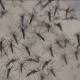 West Nile Virus cases spike in Sacramento County 
