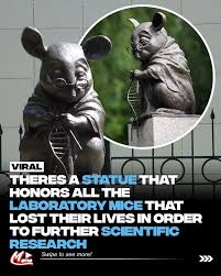 sibirien mouse|QI - Quite Interesting - The Institute of Cytology and Genetics in Siberia  has a 'Monument to the laboratory mouse', to commemorate all the mice that  have been sacrificed in the name