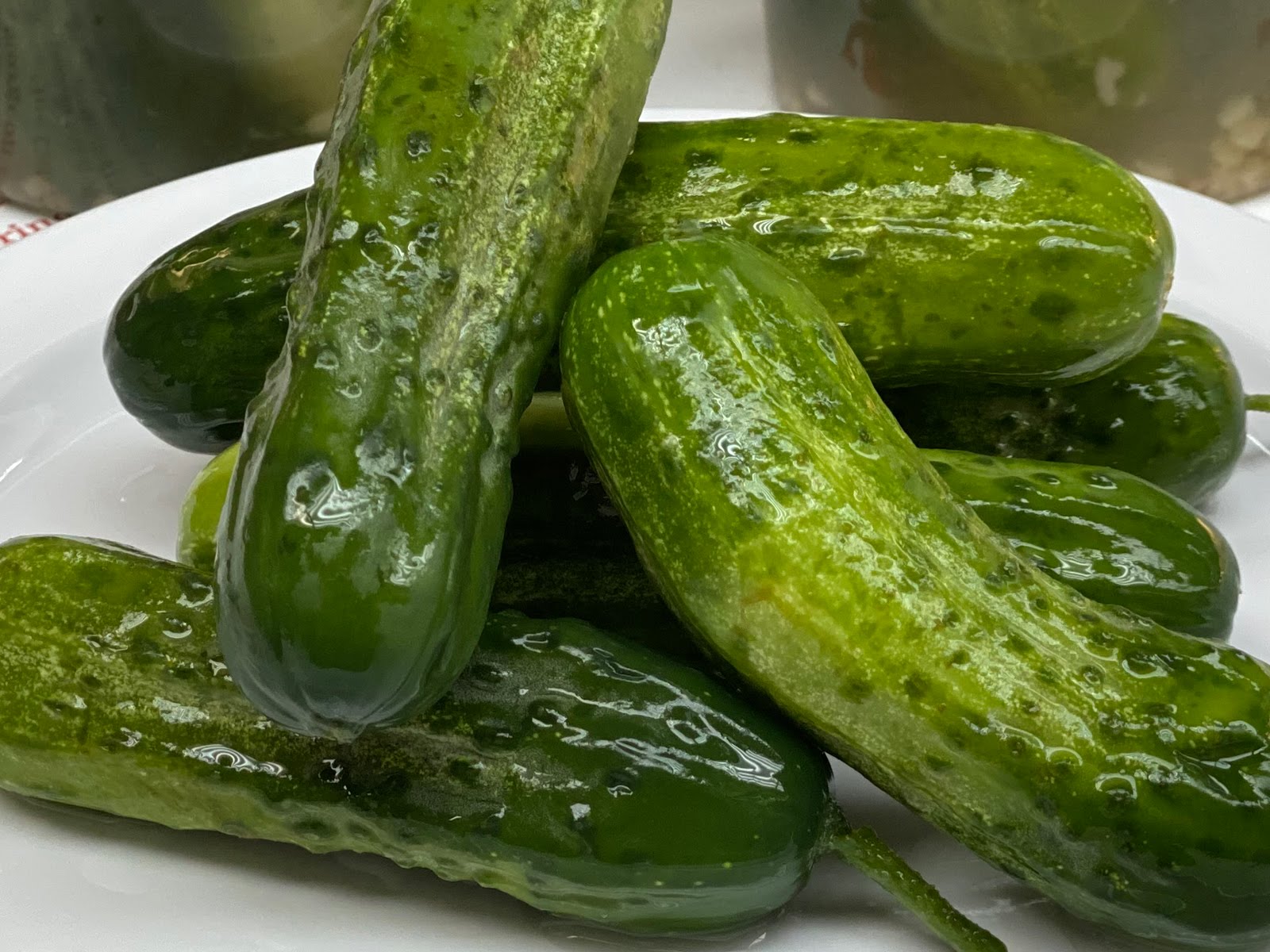 Sable's Smoked Fish by null