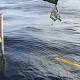 Robotic submarine suspends mission to locate missing plane