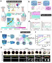 Han Chae-ah fakenude|Park Ha-sun - Wikipedia