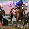 《ドバイWCデー》日本馬22頭が出走、現地で調教師＆騎手が明かし ...