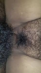 Indian hairy tube jpg x Indian hairy tube