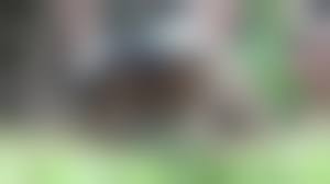 Russian Pissing Voyeur|voyeur pissing Russian • Pornhex