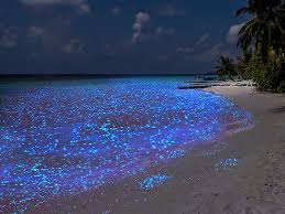 Vaadhoo North Beach