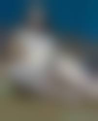 real teens nude|Real teen with big boobs is naked outdoors