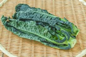 苗々ちゃん　じゅにあ|Yahoo!オークション -「ヒミツ 雑技団」(アイドル) (DVD)の落札相場・落札価格