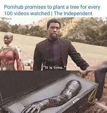 Sex memes for guys jpg x Hot sex meme