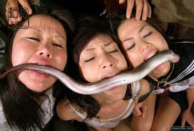 Japanese fish jpg x Japanese fish