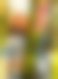 素人投稿 会社に人妻 盗撮|実話BUNKA超タブー 2023年7月号【電子普及版】 - 実話BUNKAタブー編集部 - 雑誌・無料試し読みなら、電子書籍・コミックストア  ブックライブ