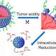 Scientists develop triple-stage 'cluster bomb' system to deliver cisplatin drug through nanoparticles - News