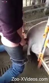 E efuck pig gaybeast com siterip jpg x Guy fucks pig