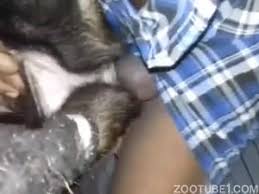 Ced dman fuck dog pussy gaybeast com siterip jpg x Guy fucks dog pussy