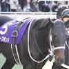 【阪神大賞典2022最新情報】直近2年は1番人気が馬券圏外と不調も ...