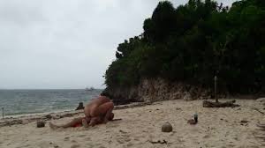 The hidden beach jpg x Hidden beach sex