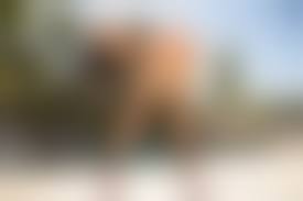 hot milfs in stockings shows pussy and ass 3000 x 2000|Wallpaper alexandra, sexy girl, stockings, garterbelt, ass, butt, buttocks,  arse, pussy, cunt, fanny, hot, ass wallpaper, doggy, doggy style, carmen v,  sandra desktop wallpaper - XXX walls - ID: 68603 - ftopx.com