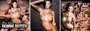 Avn award winners female performer of the year vol png x Avn winning