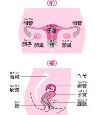 JS小学生高学年　乳首|オリンピックが終わったらギャルになりたい！」──パリ五輪柔道日本代表・阿部詩の素顔 | Vogue Japan