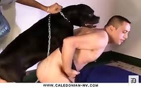 Guy fuck dog jpg x Guy fuck dog