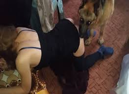 Ae bfound out wife used to have sex with her dog when she was home alone jpg x Wife dog
