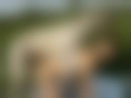 animalsexfun dog teen|Amateur teen 1st time Dog Porn PT 1 - HD Porn - Porn Tubes Video Sex |  FlyFuk.com