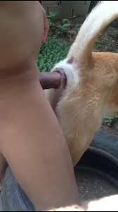 Ced a animal dog sex man cums in female dog pussy gaybeast com siterip jpg x Guy fucks dog pussy