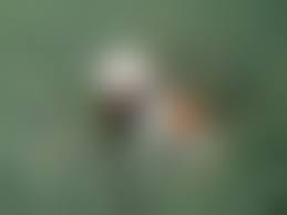 rajce.idnes.pee piss -18|Rajce.net - czech girls peeing - Page 25 - Amateur Voyeur Forum