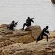 Little resistance from three rebels aboard as US Navy SEALs seize Libyan oil ...