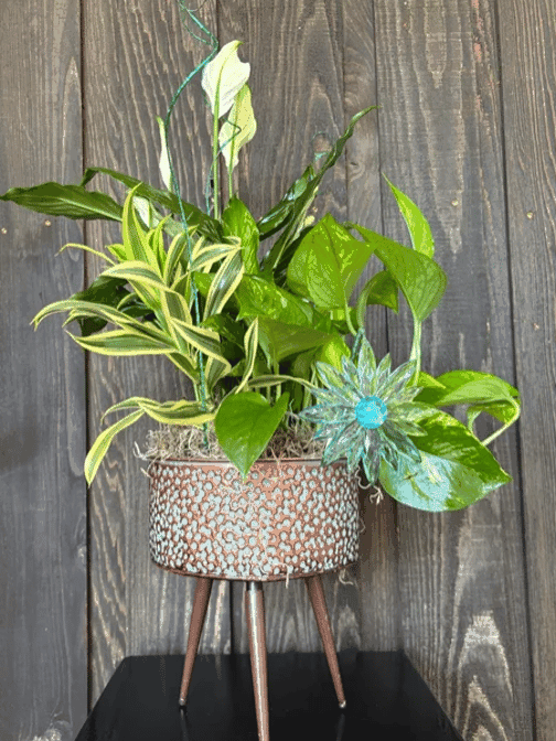 Stems Florist by null