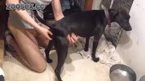Men having sex with animals jpg x Men having sex with animals