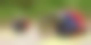 陸上女子　エロ|跳んでも跳ねても走っても、最後はズプズプSEX～陸上の女神たち㉖ - 「エロかっぱスポーツ堂」