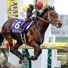 【フェブラリーステークス2022結果】史上2頭目の連覇達成 ...