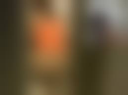 素人トイレ盗撮無修正|トイレ盗撮・・・女性のケツから柔らかウンコがニュルニュル～～っと出て来るヨ【無修正】 | 女糞.com -女のうんこスカトロ動画-