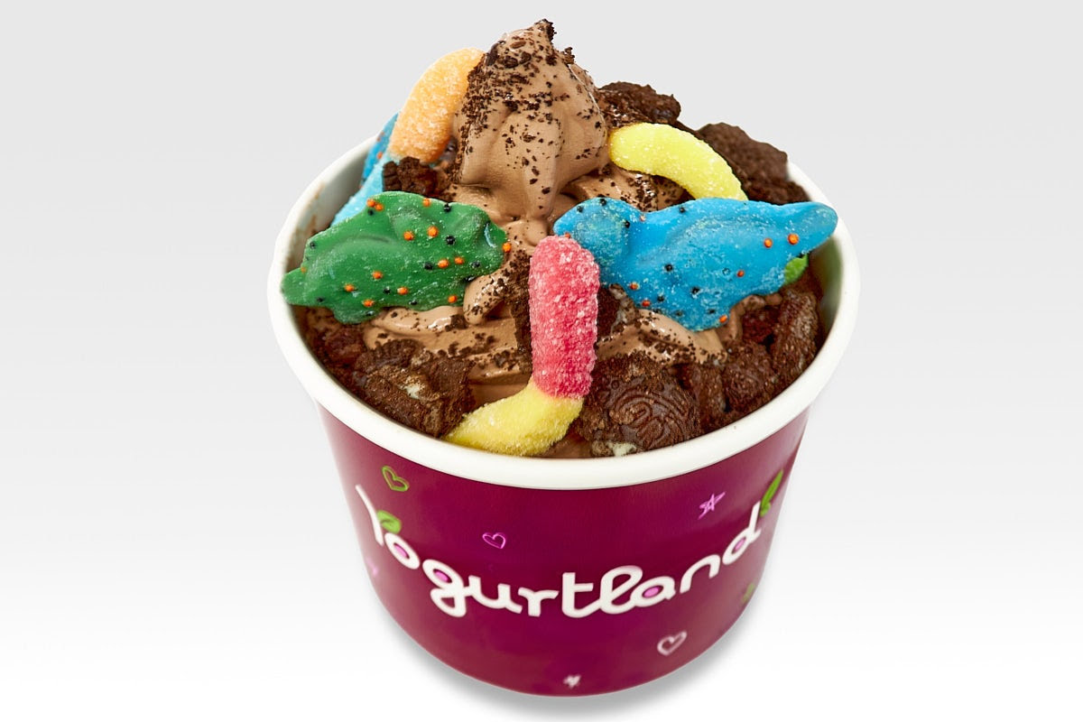 Yogurtland Boca Park by null