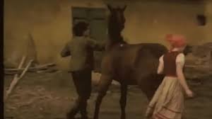 Women horse jpg x Women horse