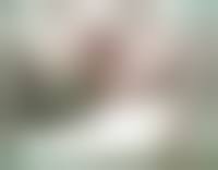 dogs fuck litlle girls|Little Dog Videos - Free Porn Videos