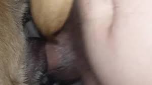 Pinoy cute boy fuck virgin dogs pussy jpg x Guy fucks dog pussy