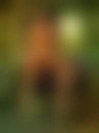 Bad onion hentai 1|Demon Hunter Diana 4 - BadOnion | 18+ Porn Comics