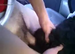 Guy fuck dog jpg x Guy fuck dog